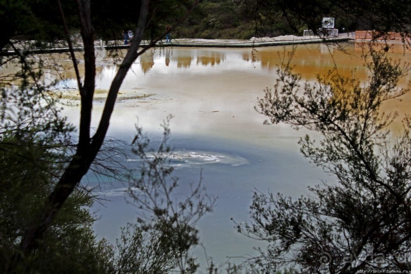 Бассейн с шампанским — теплое игристое с красными краями