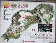 Бассейн с шампанским — теплое игристое с красными краями