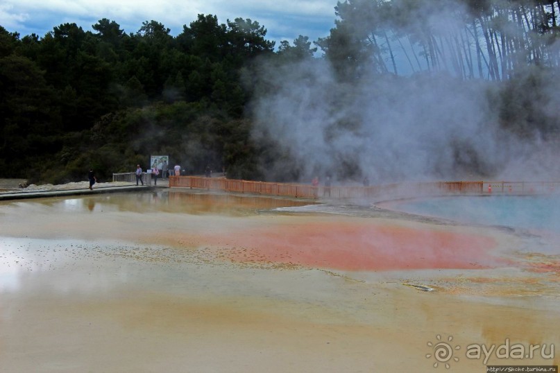 Бассейн с шампанским — теплое игристое с красными краями