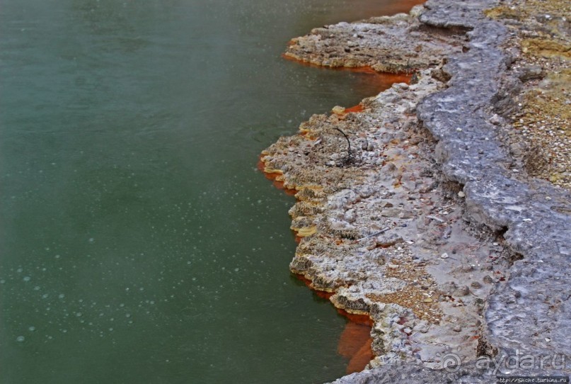 Бассейн с шампанским — теплое игристое с красными краями