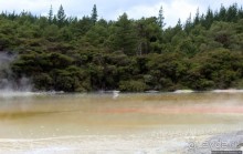 Бассейн с шампанским — теплое игристое с красными краями