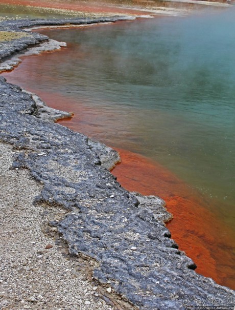 Бассейн с шампанским — теплое игристое с красными краями