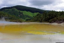 Бассейн с шампанским — теплое игристое с красными краями