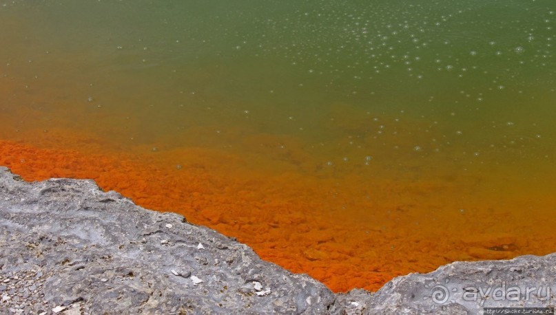 Бассейн с шампанским — теплое игристое с красными краями