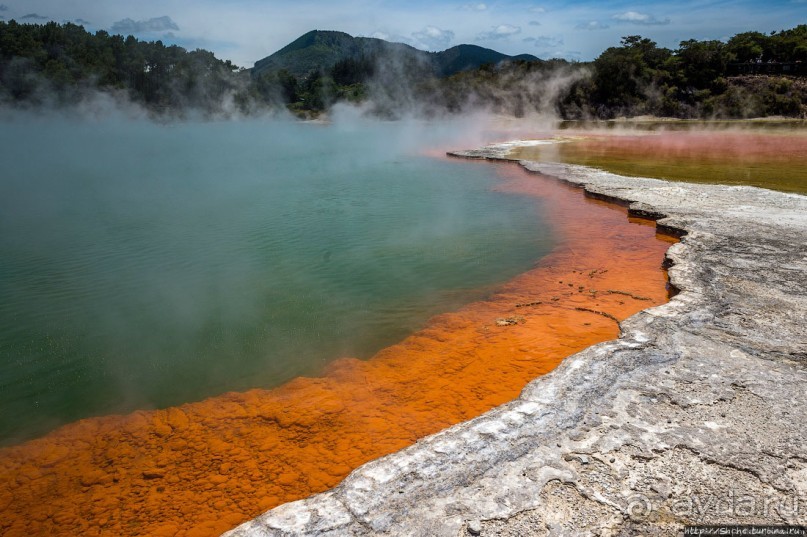 Бассейн с шампанским — теплое игристое с красными краями