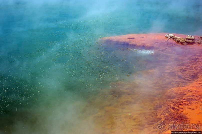 Бассейн с шампанским — теплое игристое с красными краями