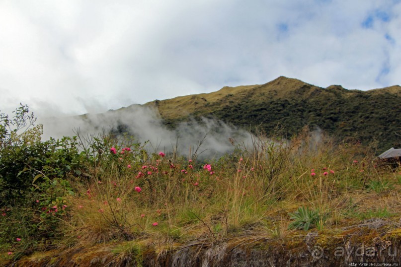 Папальякта — термальный курорт неподалеку от Кито