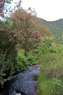 Папальякта — термальный курорт неподалеку от Кито