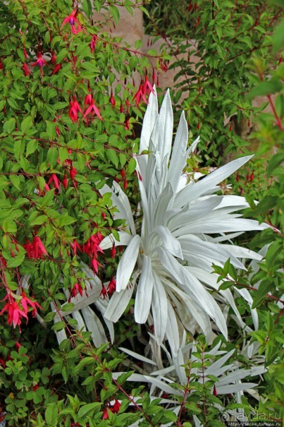 Папальякта — термальный курорт неподалеку от Кито