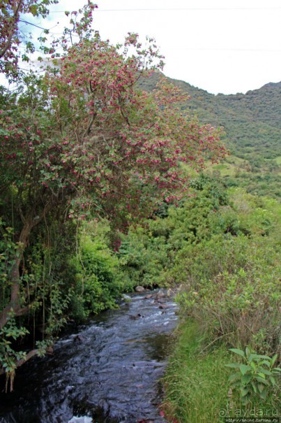 Папальякта — термальный курорт неподалеку от Кито