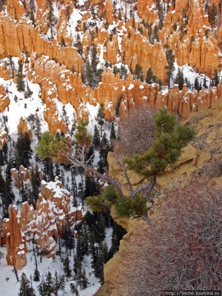 Точка Брайс (Brice Point) и Гроты (Grottos)