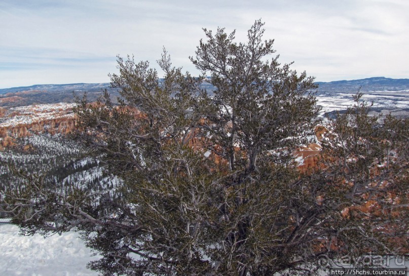 Точка Брайс (Brice Point) и Гроты (Grottos)
