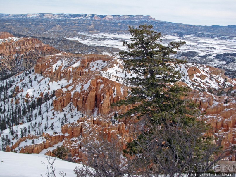 Точка Брайс (Brice Point) и Гроты (Grottos)