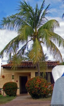 На Маргарите