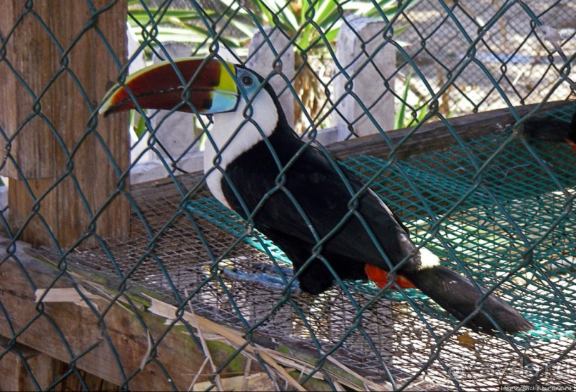 На Маргарите