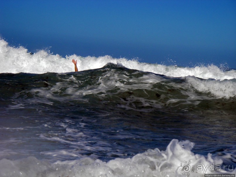 На Маргарите