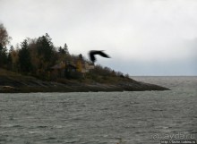 Суровая красота побережья фьерда Strindfjorden