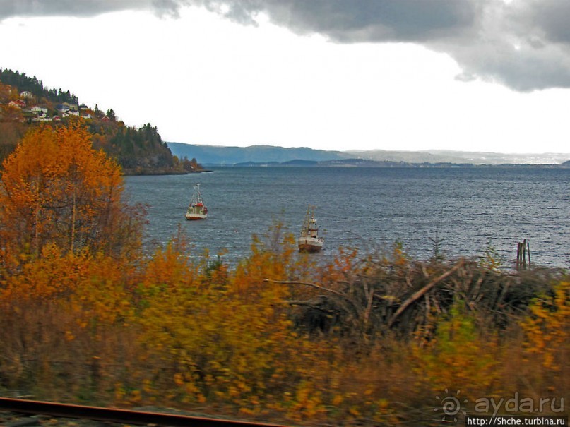 Суровая красота побережья фьерда Strindfjorden