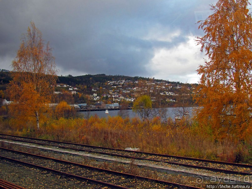 Суровая красота побережья фьерда Strindfjorden