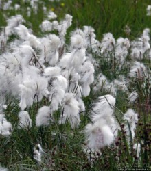 Альбом отзыва "Золотое кольцо Исландии - Долина Гейзеров"