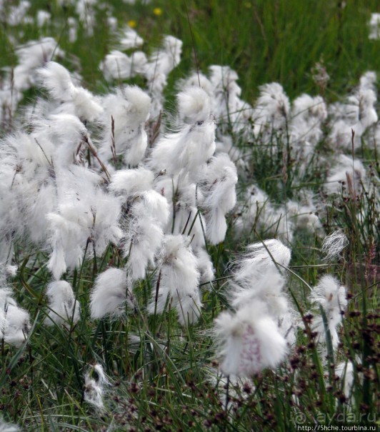 Золотое кольцо Исландии - Долина Гейзеров