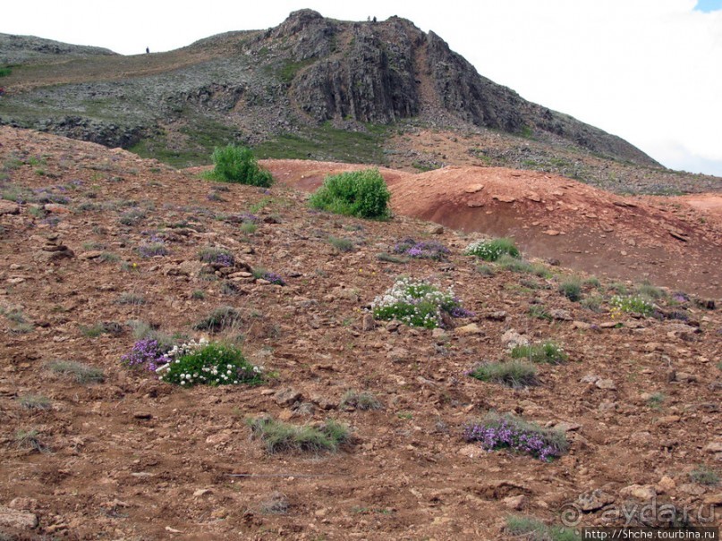 Золотое кольцо Исландии - Долина Гейзеров