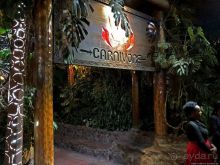 Carnivore — почувствуй себя африканским хищником