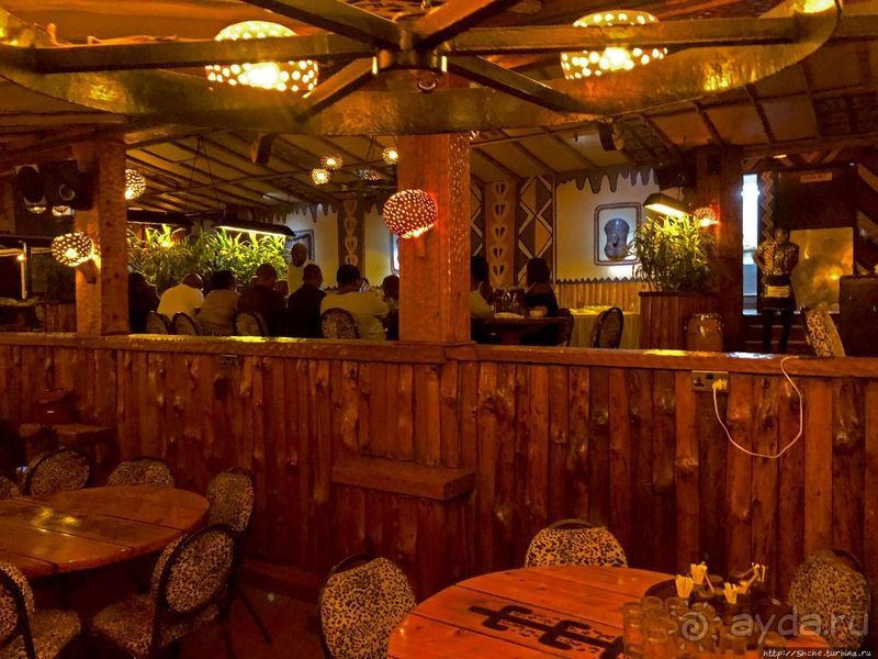 Carnivore — почувствуй себя африканским хищником