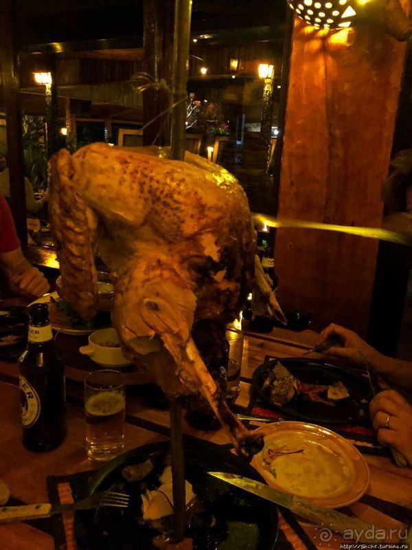 Carnivore — почувствуй себя африканским хищником