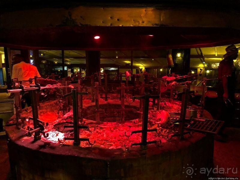 Carnivore — почувствуй себя африканским хищником