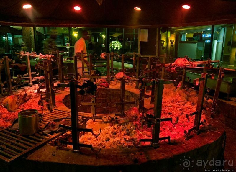 Carnivore — почувствуй себя африканским хищником