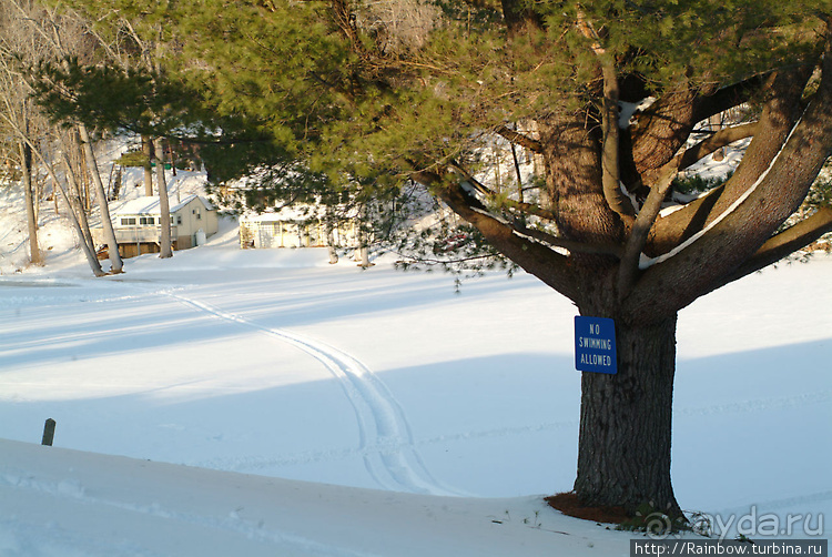 Все удовольствия на Виндзорском озере