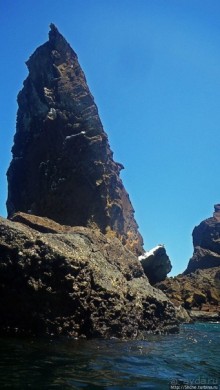 Альбом отзыва "Сноклинг вокруг Pinnacle Rock (ноготь Бартоломе): акула и др"