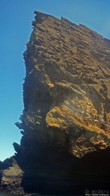 Сноклинг вокруг Pinnacle Rock (ноготь Бартоломе): акула и др