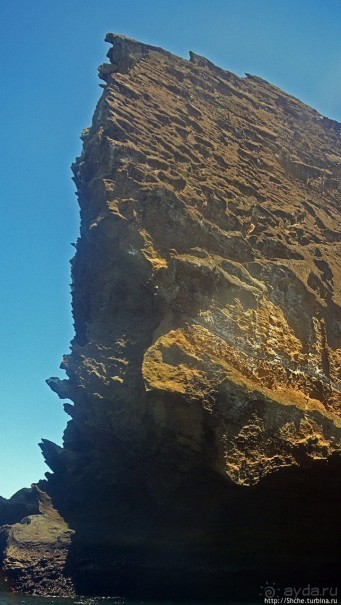 Сноклинг вокруг Pinnacle Rock (ноготь Бартоломе): акула и др