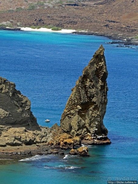 Сноклинг вокруг Pinnacle Rock (ноготь Бартоломе): акула и др