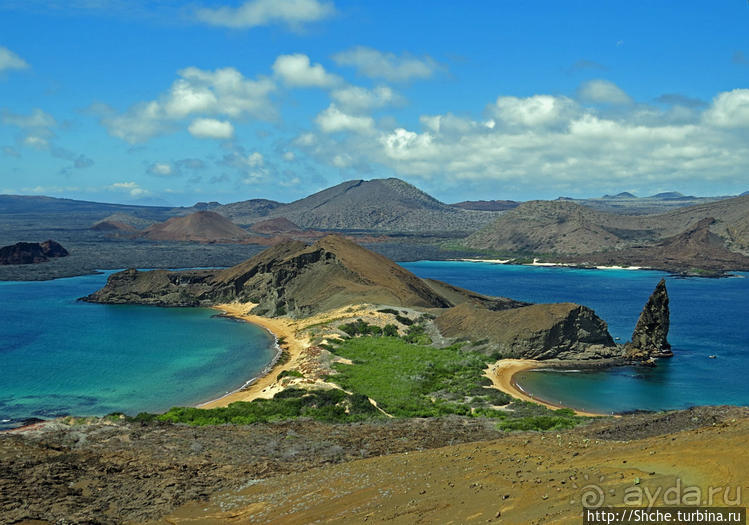 Сноклинг вокруг Pinnacle Rock (ноготь Бартоломе): акула и др