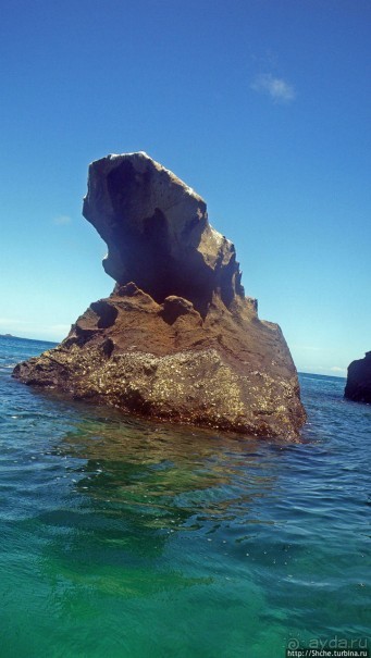 Сноклинг вокруг Pinnacle Rock (ноготь Бартоломе): акула и др