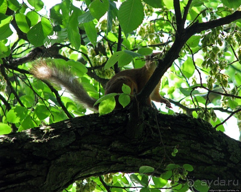 Златоглавый Чернигов. Короткое знакомство