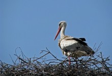 Златоглавый Чернигов. Короткое знакомство