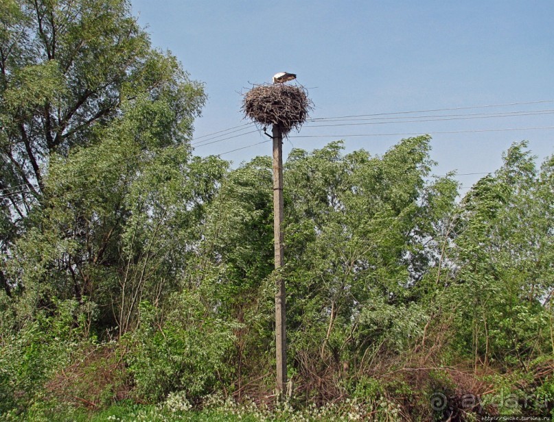 Альбом отзыва "Златоглавый Чернигов. Короткое знакомство"