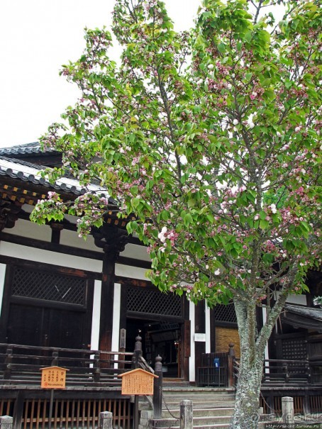 Храмы древней Нары. Todai-ji (объект ЮНЕСКО 870-001)