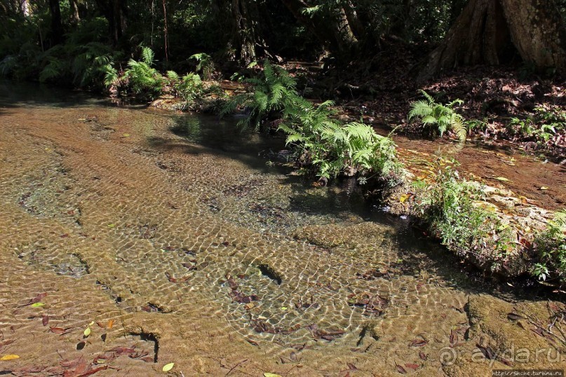 Каскады Semuc Champey — самое фотогеничное место Гватемалы