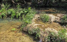 Каскады Semuc Champey — самое фотогеничное место Гватемалы