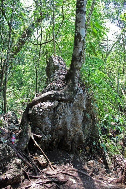 Каскады Semuc Champey — самое фотогеничное место Гватемалы
