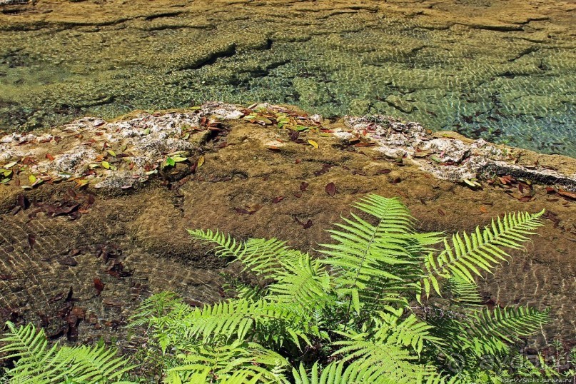 Каскады Semuc Champey — самое фотогеничное место Гватемалы