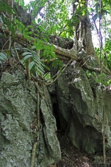 Каскады Semuc Champey — самое фотогеничное место Гватемалы