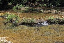 Каскады Semuc Champey — самое фотогеничное место Гватемалы