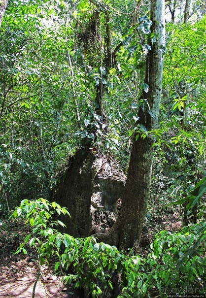 Каскады Semuc Champey — самое фотогеничное место Гватемалы