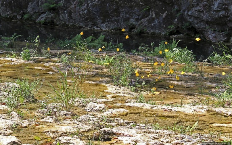 Каскады Semuc Champey — самое фотогеничное место Гватемалы